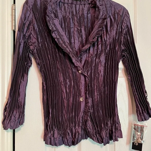 Plisse Tops Beautiful Dressy Evening Wear Top Poshmark